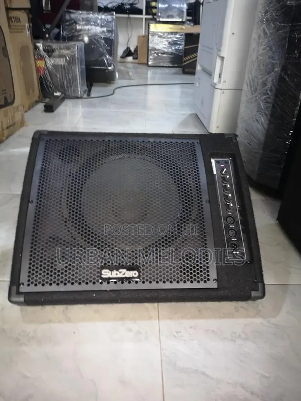 SubZero Stage Active Floor Monitor · Photo 1