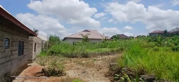 Land for Sale at Tech Anwomaso-Domeabra · Photo 3
