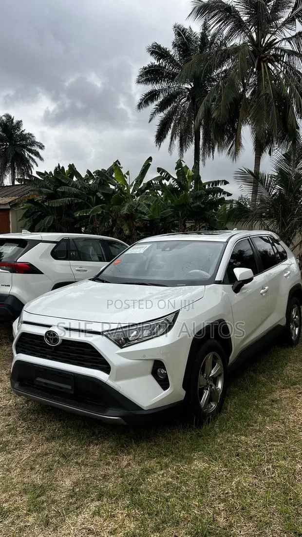 Toyota RAV4 2023 White · Photo 1