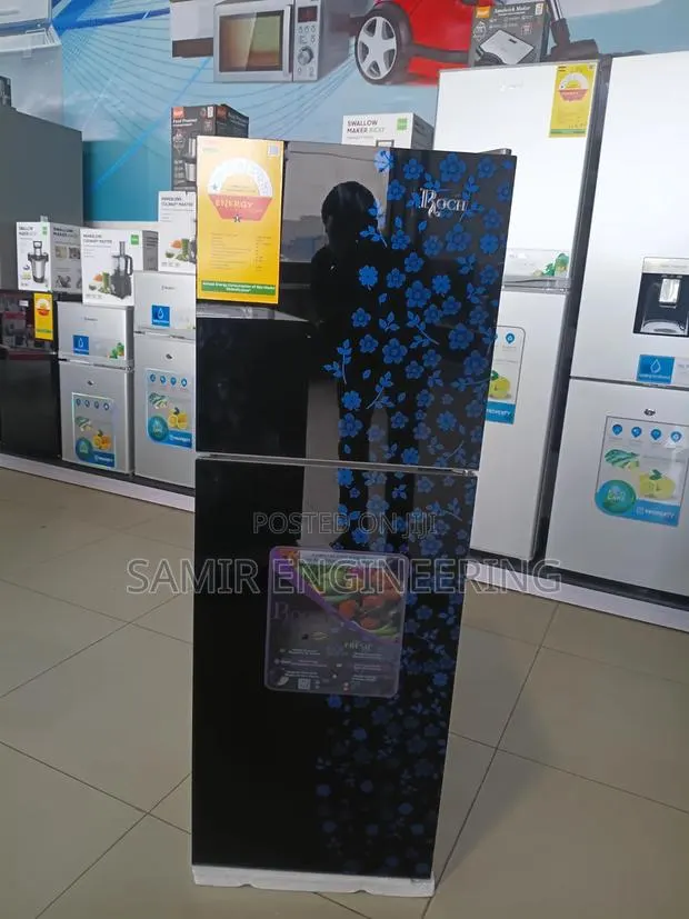 Roch 138L Double Door Fridge (RFR-170DT-J): · Photo 1