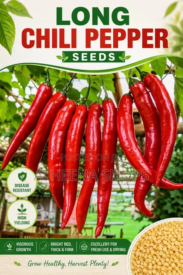F1 Chilli Pepper Seeds ( 50 Grams) · Photo 2