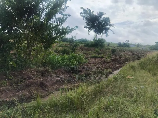 Lands for Sale · Photo 1