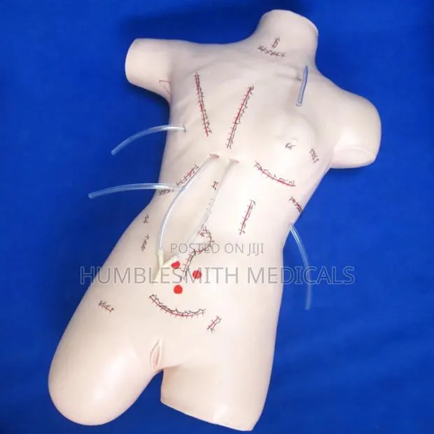 Advanced Surgery Suture Dummy Bandage Training Model · Photo 1
