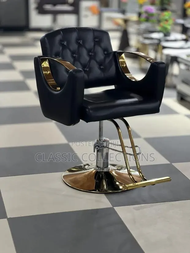 Salon Luxury Chair · Photo 1