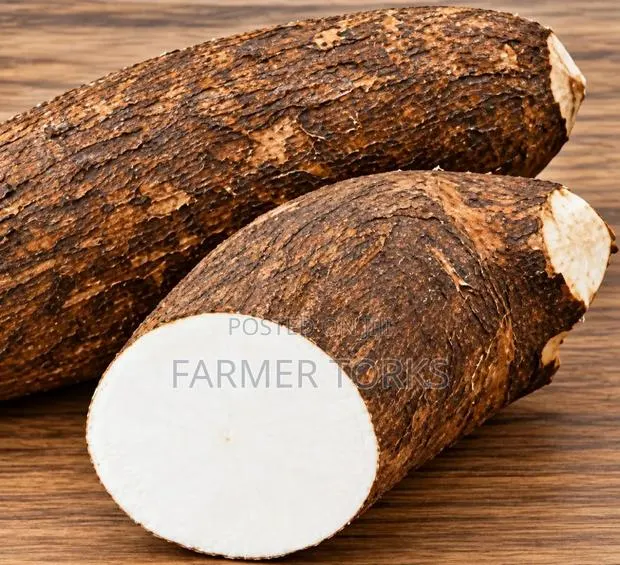 Yam Tuber Fresh · Photo 1
