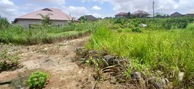 Land for Sale at Tech Anwomaso-Domeabra · Photo 2