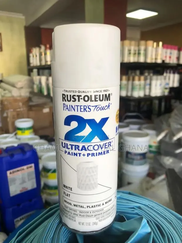 Rust-Oleum 2x Paint and Primer Flat White · Photo 1