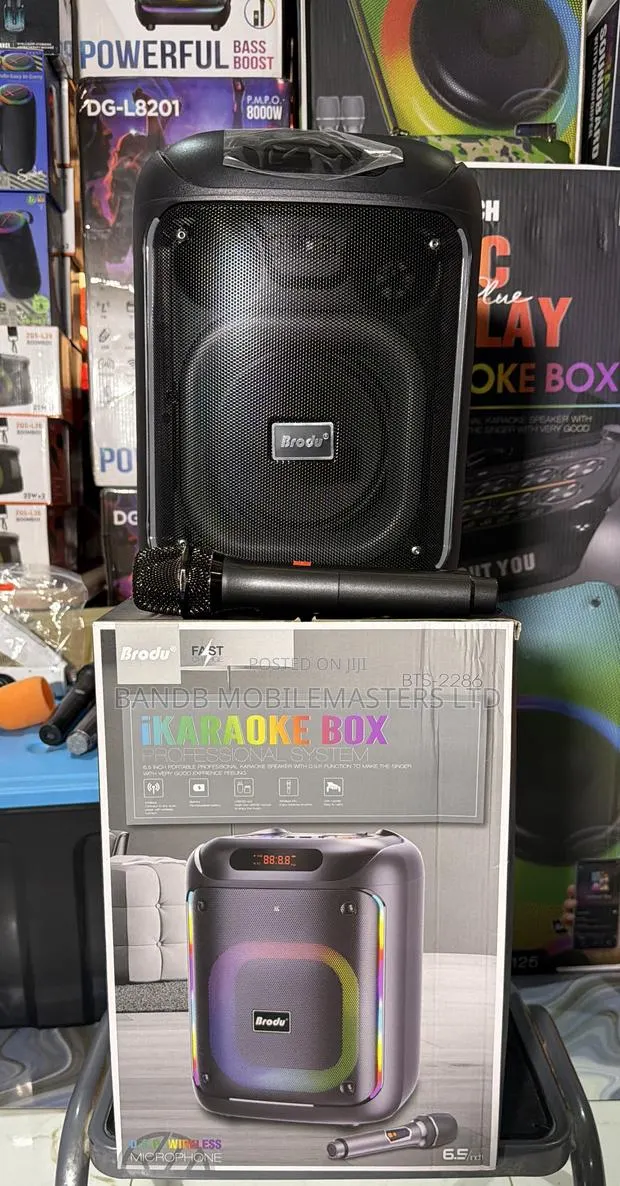 Brodu BTS-2286 Karaoke Speaker 6.5” – Wireless Microphone, RGB Lights · Photo 1