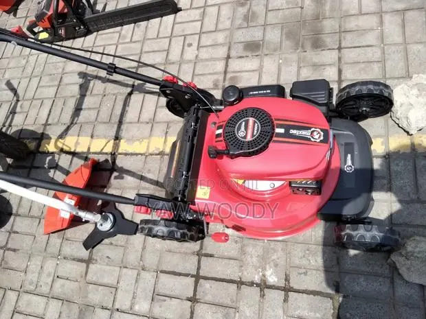 Gasoline Lawn Mower · Photo 1
