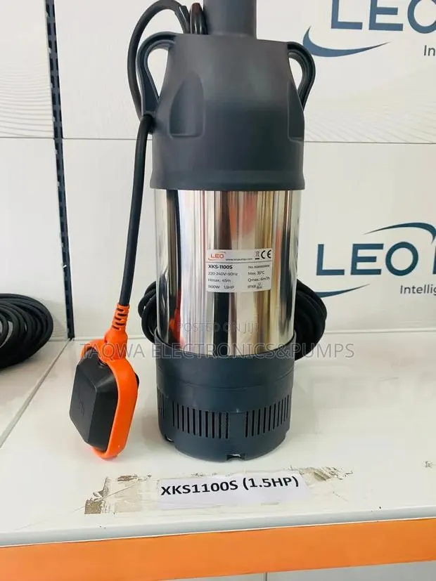 Amazing Leo 1.5hp Garden Submersible Stainless Pump · Photo 1