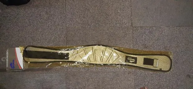 SF 73 Foam Core Weight Lifting Belt · Photo 1