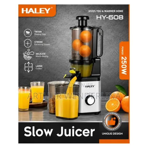 Haley Slow Juicer Hy 608 · Photo 1