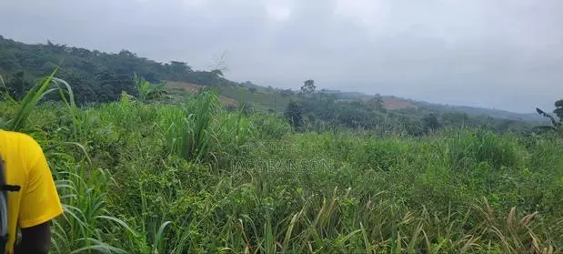 Farm Land at Aburi