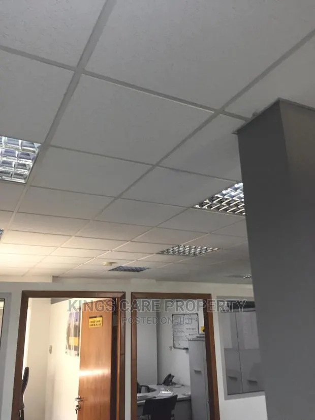 Acoustic Ceiling · Photo 1