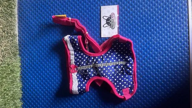 Toy Dog Clothing- New Stock -2025-0610000 · Photo 1
