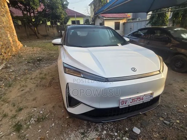 New Dongfeng Captain 2025 White · Photo 1
