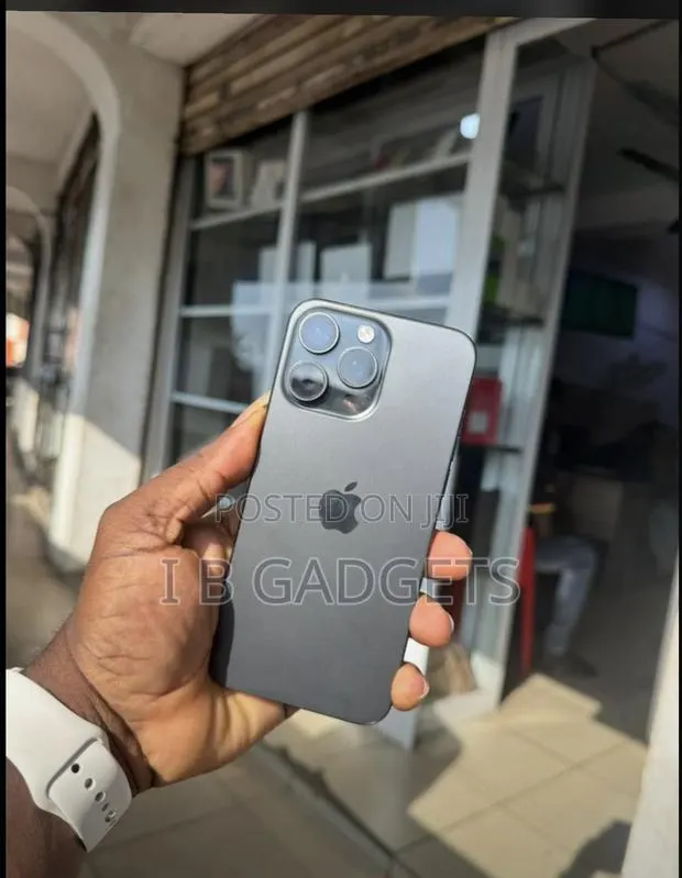 Apple iPhone 15 Pro Max 256 GB Gray · Photo 1