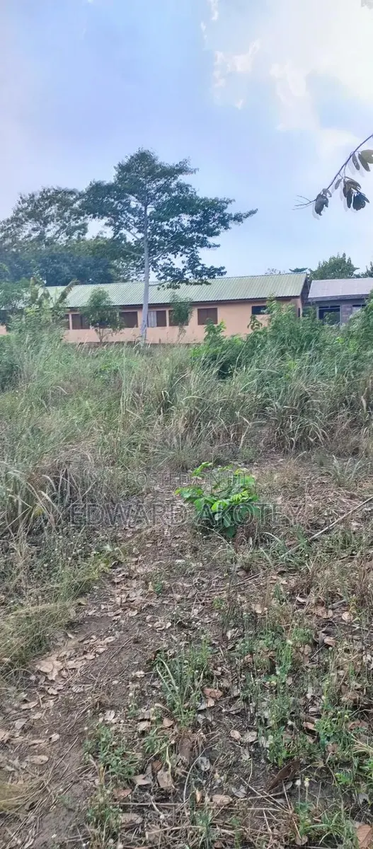 Two Plots of Registered Land for Sale · Photo 1
