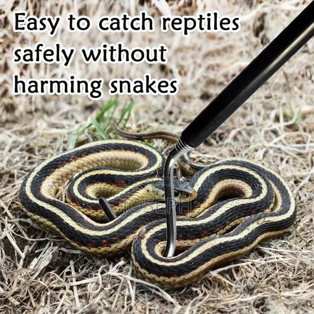 Reptiles Controlling Hook ,Catching · Photo 1