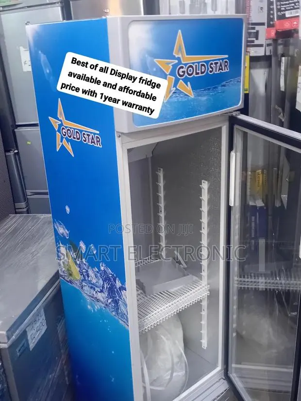 Your Perfect Partner for Fresh Merchandise: Goldstar 229L Good in Town · Photo 1