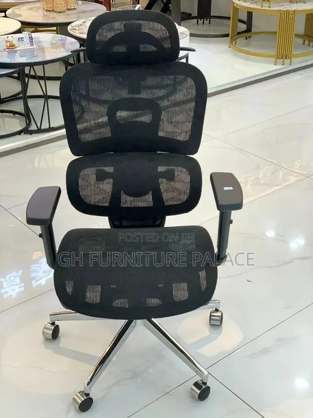 Mesh Spine Support Chair · Photo 1