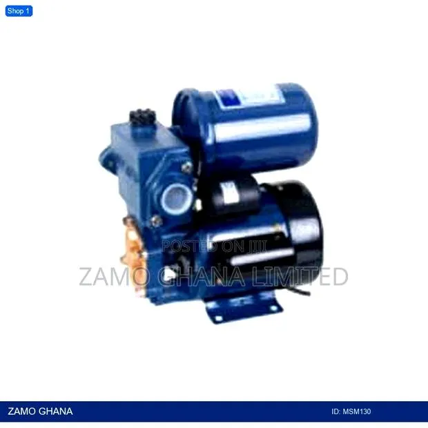 Water Pump + Auto Cpnt. 0.5 Hp - Msm130 · Photo 1