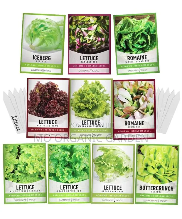 Lettuce Seeds – Different Varieties Available for Planting · Photo 1