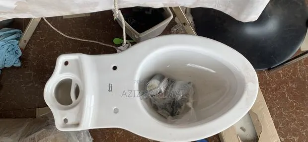 America, Standard WC · Photo 1