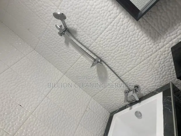 Deep Cleaning · Photo 1