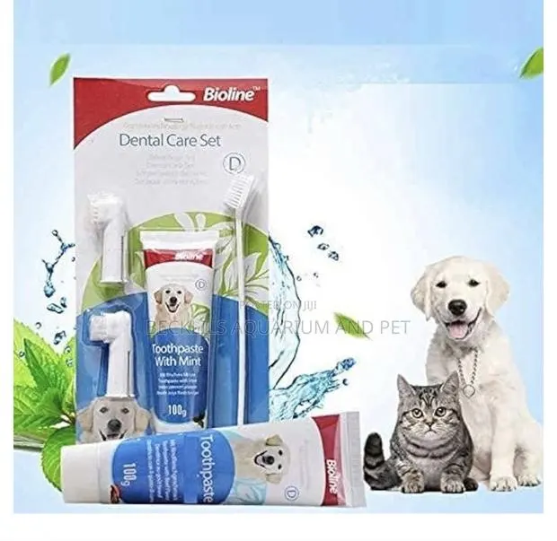 4 in 1 Dental Care for Dogs and Cat · Photo 1