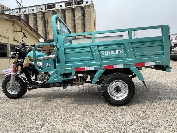 New Sonlink SL200ZH-S1 2019 Green · Photo 6