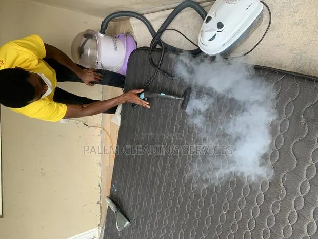 Sofa Cleaning · Photo 1