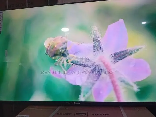 Sigma 55-Inch Tv – Premium Viewing Experience · Photo 1
