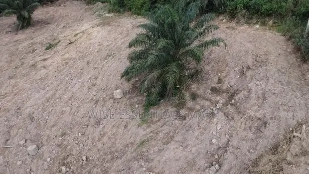 Land for Sale Aburi · Photo 1