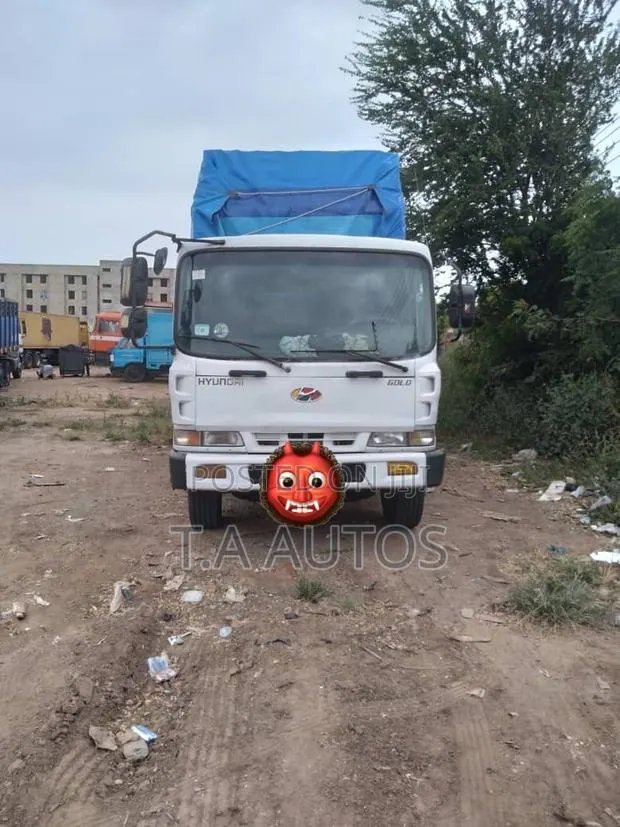 Hyundai Rlon Truck With Room 19 · Photo 1