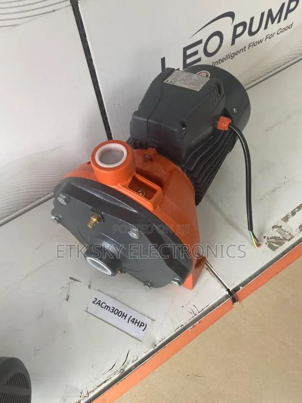 Leo 2acm300h 4hp Water Pump · Photo 1