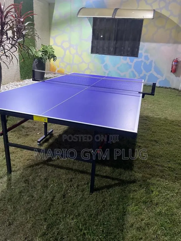 Outdoor Foldable Table Tennis With Balls and Racket · Photo 1