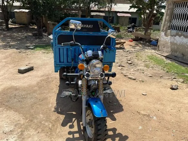 Tricycle 2025 Blue · Photo 1