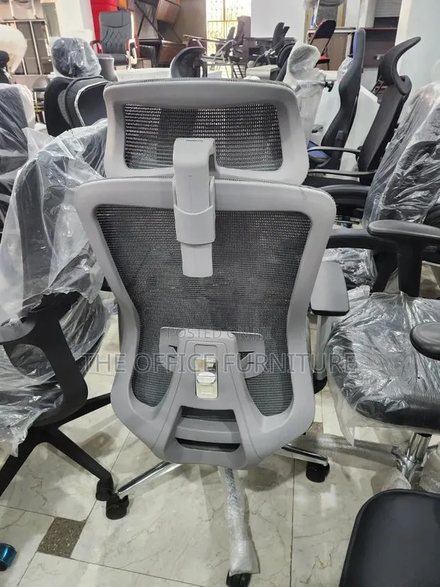 Executive Mesh Chair · Photo 1