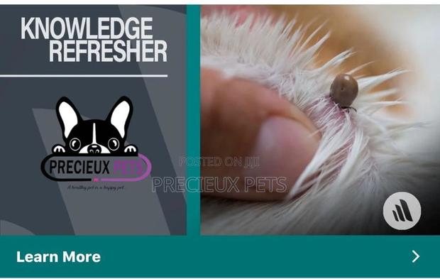 Precieux Pets Shop/Kennel · Photo 3