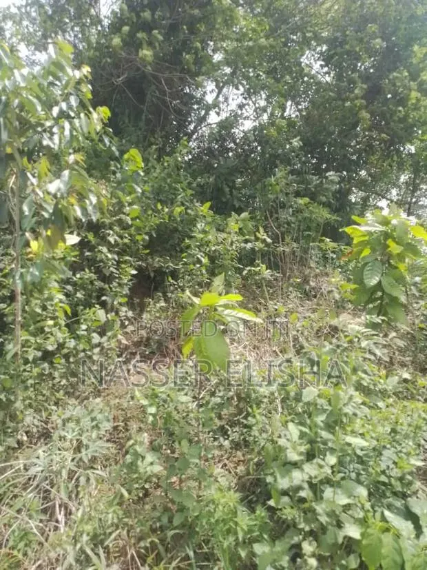 18,000 Acres Farm Lands for Sale · Photo 1