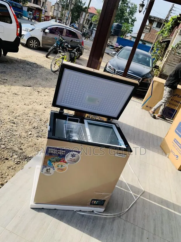 Best Design 150L Gold 1 Door Nas-200fl Nasco Freezer (FreshLock) · Photo 1