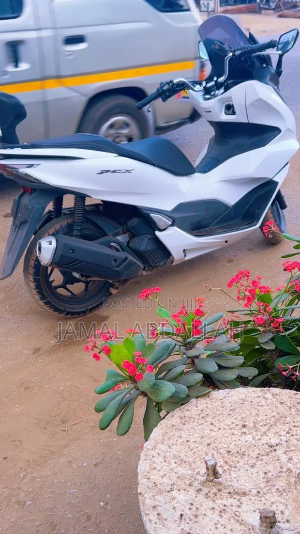 Honda 2024 White · Photo 1