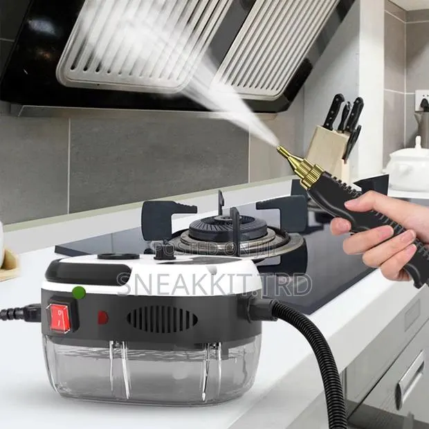Portable Steaming Cleaner · Photo 1