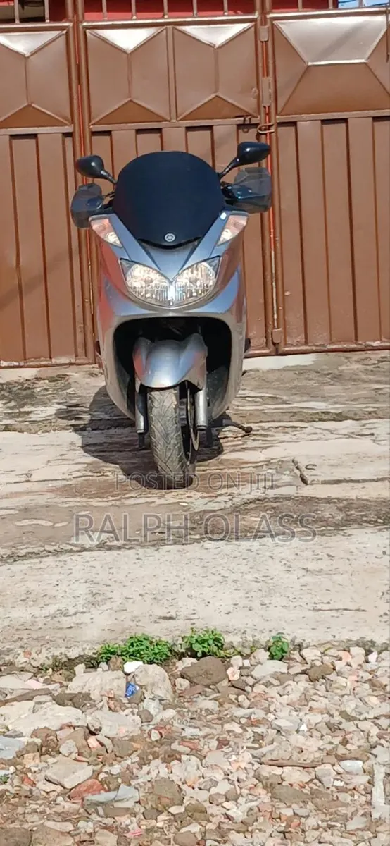 Yamaha Majesty 2010 Gray · Photo 1