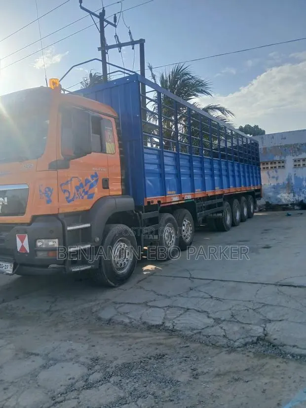 Man TGS Truck for Sale · Photo 1