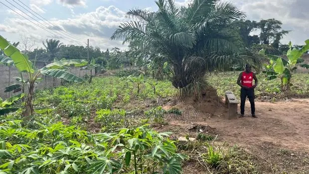 Titled One and Half Acre Roadside Land at East Legon · Photo 2