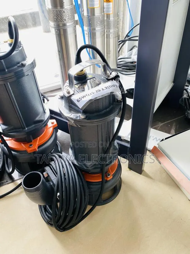 Very -Efficient Leo 3hp Sewage Pump · Photo 1