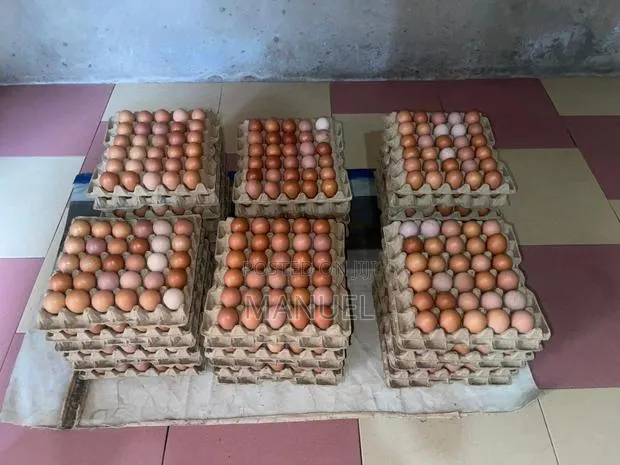 Poultry Egg Sales · Photo 1