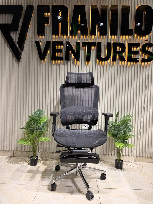 Executive Ergonomic Office Chair · Photo 1